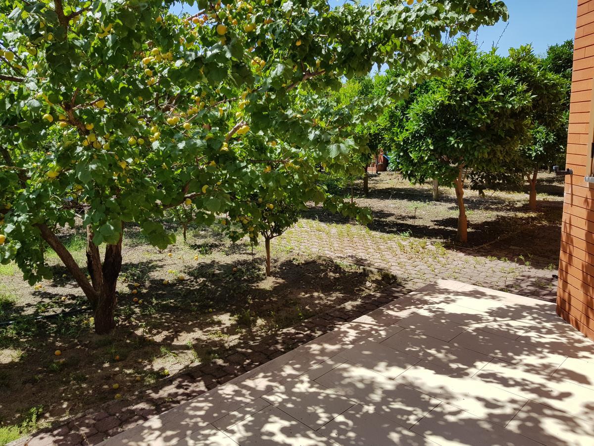 Villa "Green Paradise" ديفيجاكه المظهر الخارجي الصورة